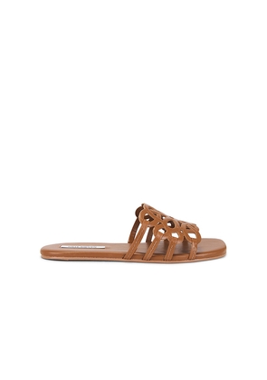 Steve Madden Lotus Sandal in Brown. Size 6. Also in 10, 6.5, 7, 7.5, 8, 8.5, 9, 9.5.