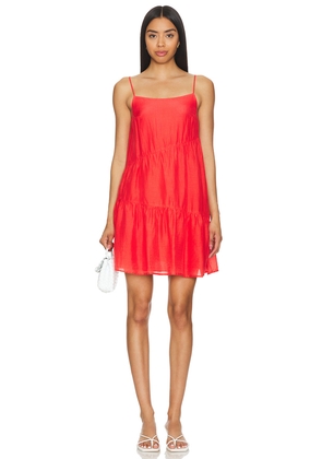 Velvet by Graham & Spencer Suzie Dress in Burnt Orange. Size XL. Also in L.