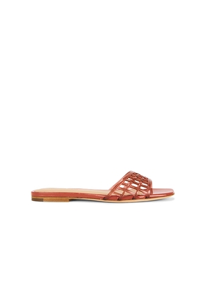 Veronica Beard Maris Jelly Sandal in Orange. Size 6.5. Also in 5.5, 7, 7.5, 8.