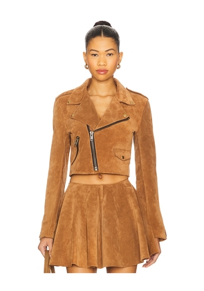 Understated Leather Sugar High Moto Jacket in Brown. Size XL. Also in L.