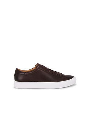 Polo Ralph Lauren Jermain II Sneaker in Brown. Size 10. Also in 8, 12, 13, 14.