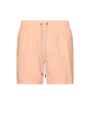 Vintage Summer Vintage Wash Volley Swim Shorts in Pink. Size S. Also in L.