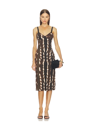 Vaillant Drill Bustier Midi Dress in Brown. Size 36. Also in 34, 38, 40.