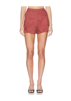 AMUR Kailana Raffia Shorts in Brown. Size 10. Also in 2, 4, 6, 8.