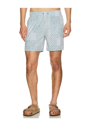 Vintage Summer 4 Way Stretch Volleys in Green. Size L. Also in S, M, XL/1X, XXL/2X.