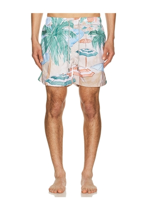 Vintage Summer Ponji Swim Volleys in Tan. Size L. Also in S, M, XL/1X, XXL/2X.