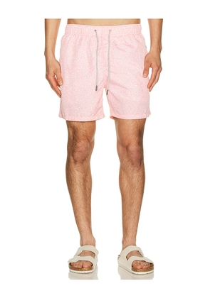 Vintage Summer Ponji Swim Volleys in Coral. Size L. Also in S, M, XL/1X, XXL/2X.