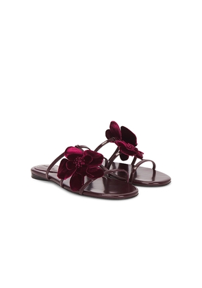 Zimmermann Orchid Slide in Wine. Size 37. Also in 36, 38, 39, 40, 41.