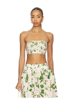 Verandah Bandeau in Pink. Size M. Also in L, S, XL, XS.