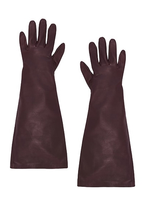 Saint Laurent Long Gloves in Bordeaux - Burgundy. Size 7.5 (also in ).