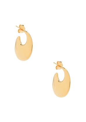 Saint Laurent Bo Creole Plate Earrings in Dore - Metallic Gold. Size all.