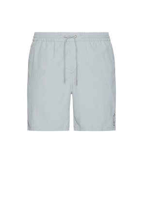 ALLSAINTS Haven Swim Shorts in Slate. Size S. Also in XL/1X.
