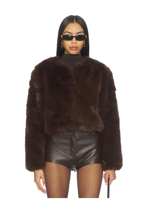 BLANKNYC Crop Faux Fur Coat in Brown. Size L. Also in M, S, XS.