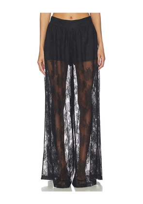 Bardot Hildie Wide Leg Lace Pant in Black. Size 10. Also in 4, 2, 6, 8.