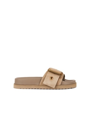 ALLSAINTS Ellie Western Slider in Tan. Size 10. Also in 6, 8, 9.