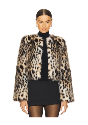 LOBA Purrla Faux Fur Jacket in Brown. Size S. Also in XL.