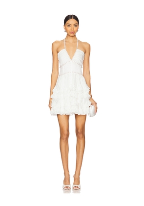 V. Chapman Sophie Mini Dress in White. Size 0. Also in 12.