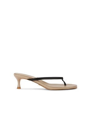 RAYE Kimme Sandal in Taupe,Chocolate. Size 10. Also in 5.5, 6, 6.5, 7, 7.5, 8, 8.5, 9, 9.5.