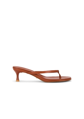 RAYE Kimme Sandal in Burnt Orange. Size 10. Also in 5.5, 6, 6.5, 7, 7.5, 8, 8.5, 9, 9.5.
