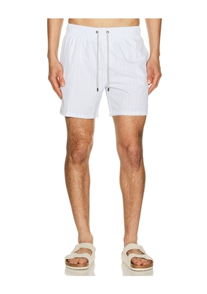 Vintage Summer 4 Way Stretch Volleys in Green. Size L. Also in S, M, XL/1X, XXL/2X.