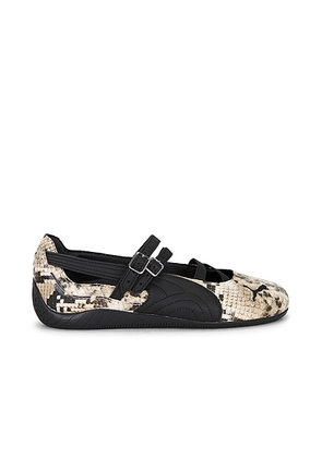 Puma Select Speedcat Ballet Sneaker in Puma Black & Vapor Gray - Brown. Size 6 (also in 7.5, 8, 9, 10, 11, 6.5, 7, 8.5, 9.5).