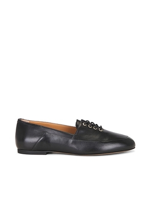 Jil Sander Lace Up Loafer in Black - Black. Size 37 (also in 36, 39, 40, 41).