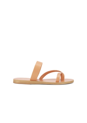 Ancient Greek Sandals Daphnae Sandal in Neutral. Size 42. Also in 36.