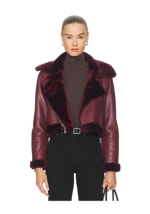 L'AGENCE Pike Crop Shearling Jacket in Wine. Size S. Also in XS.