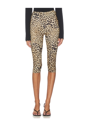 Norma Kamali Capri Legging in Tan,Brown. Size XS. Also in S, M, L.