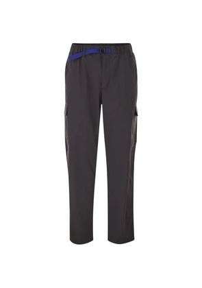 Patagonia Everyday cargo pants - Grey