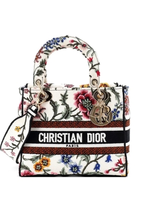 Christian Dior Pre-Owned Lady D-Lite Bag Embroidered Canvas Medium satchel - Multicolour