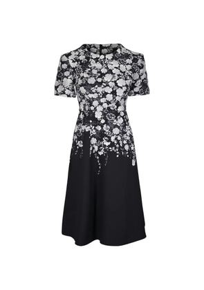 Adam Lippes Evangeline floral-print dress - Black