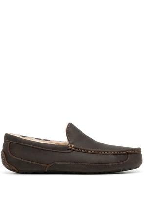 UGG Ascot matte slippers - Brown