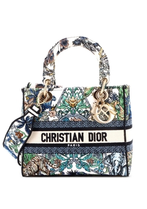 Christian Dior Pre-Owned Lady D-Lite Bag Embroidered Canvas Medium satchel - Multicolour