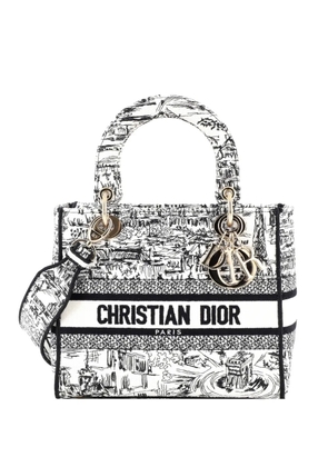 Christian Dior Pre-Owned Lady D-Lite Bag Embroidered Canvas Medium satchel - Multicolour