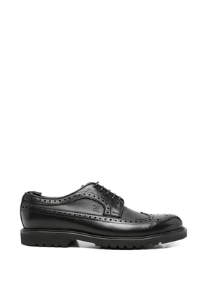 Fabi brogue derby shoes - Black