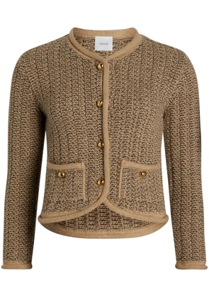 Patou knitted fitted jacket - Brown