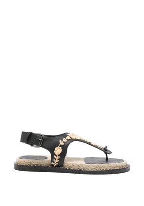 Castañer Pedra floral-embroidered buckled sandals - Black