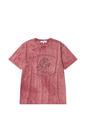 Palmes Lake graphic T-shirt - Pink