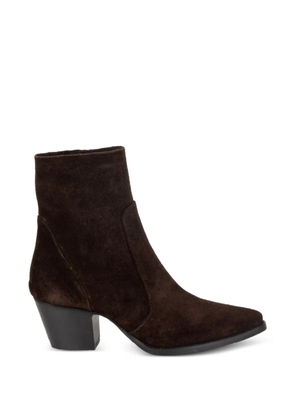 IMMA pointed suede boots - Brown