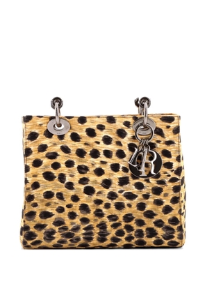 Christian Dior Pre-Owned Vintage Lady Dior Bag Printed Canvas Medium tote bag - Gold