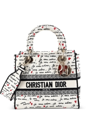 Christian Dior Pre-Owned Lady D-Lite Bag Embroidered Canvas Medium satchel - Multicolour