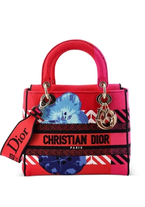 Christian Dior Pre-Owned Lady D-Lite Bag Embroidered Canvas Medium satchel - Multicolour