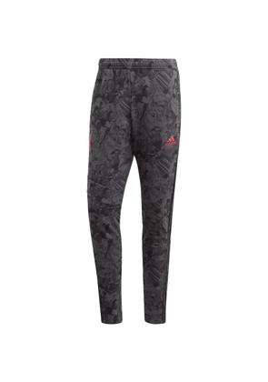 adidas Captain Tsubasa Tiro track pants - Grey