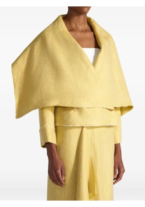 Liviana Conti Danver shawl collar jacket - Yellow