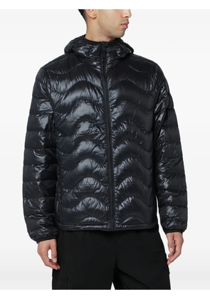 PURPLE MOUNTAIN OBSERVATORY hooded quilted jacket - Black