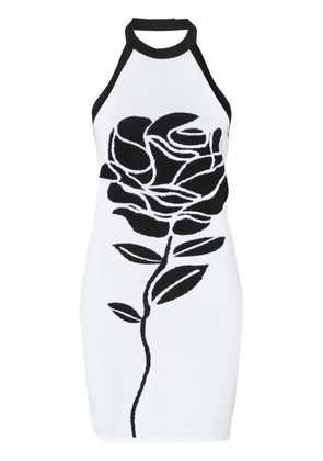 Balmain rose-intarsia halterneck minidress - Black
