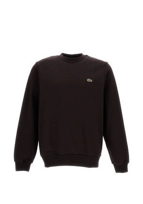 Lacoste logo sweater - Brown