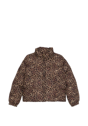 MC2 Saint Barth classic leo print jacket - Neutrals