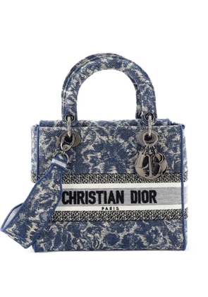 Christian Dior Pre-Owned Lady D-Lite Bag Embroidered Canvas Medium satchel - Blue